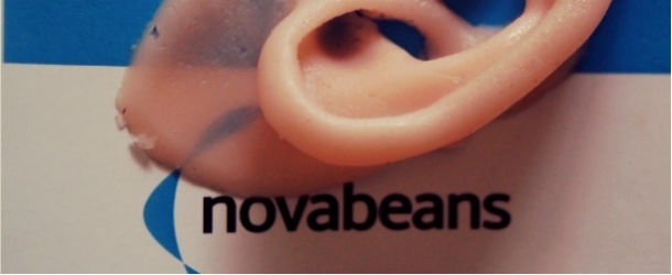 3D printed ear