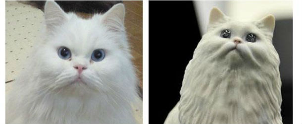 3D printed pet